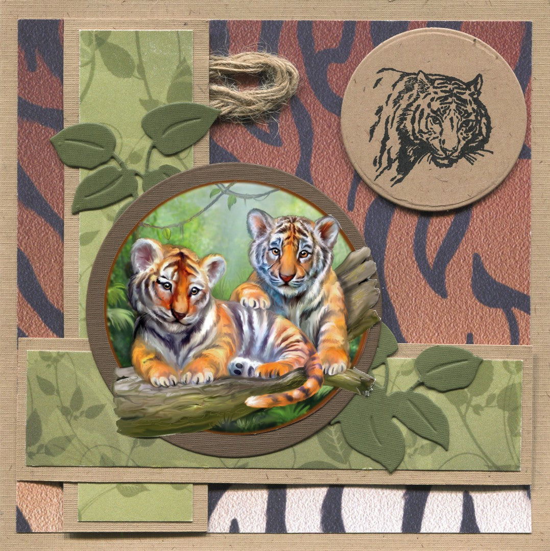 3D Push out Book #40 / Wild Animals