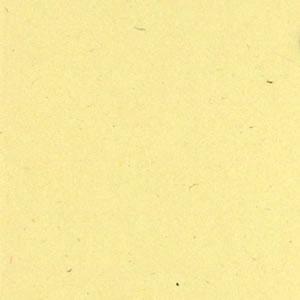 Bazzill 12 x 12 card - Sawdust