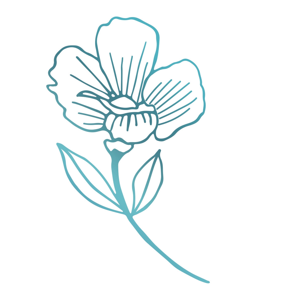 Primrose Flower