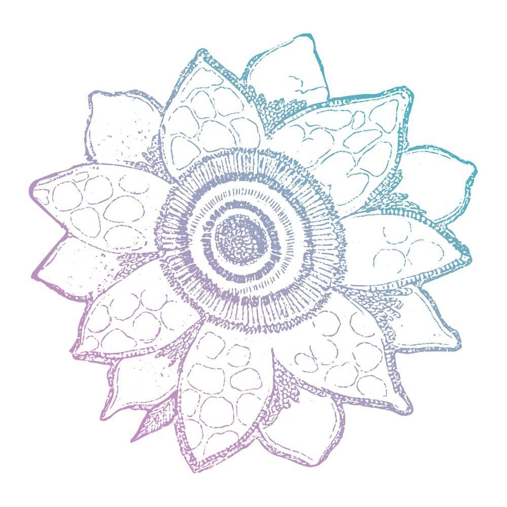 Le Petit Jardin / Traditional Bloom