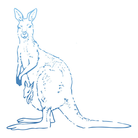 Sunburnt Country - Kangaroo
