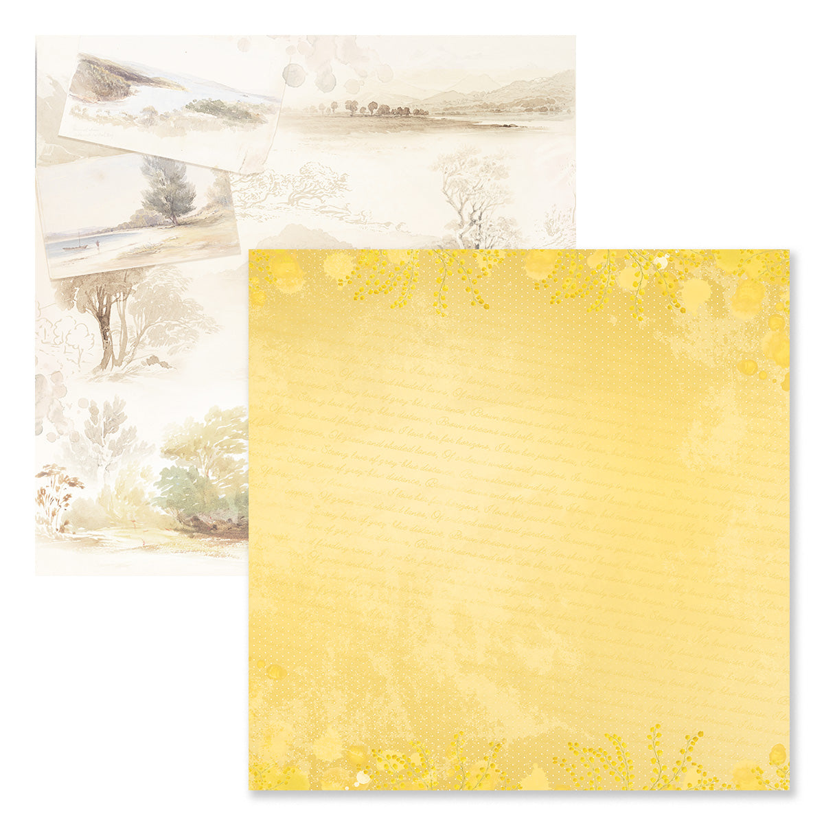 12 x 12 / Sweeping Plains #6