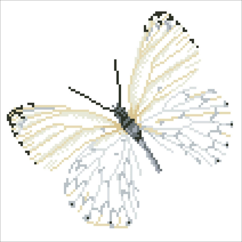 Diamond Dotz Flutterby White