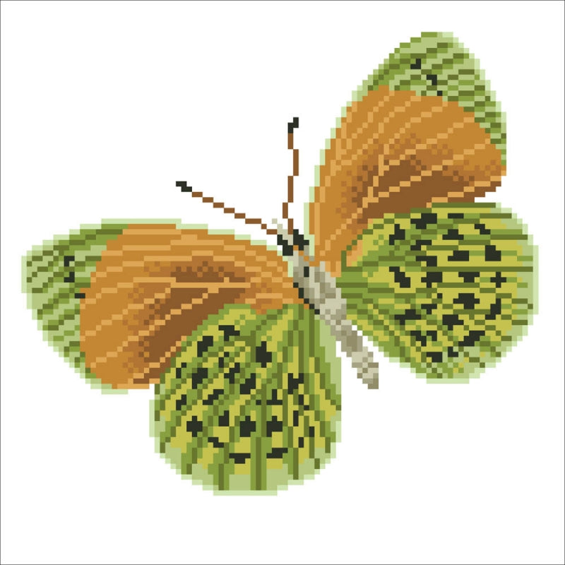 Diamond Dotz Flutterby Earth