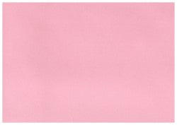 A5 Card (pre-folded) Flamingo 10 Pack