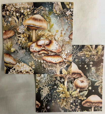 Scrap Happy / Forest Mushrooms