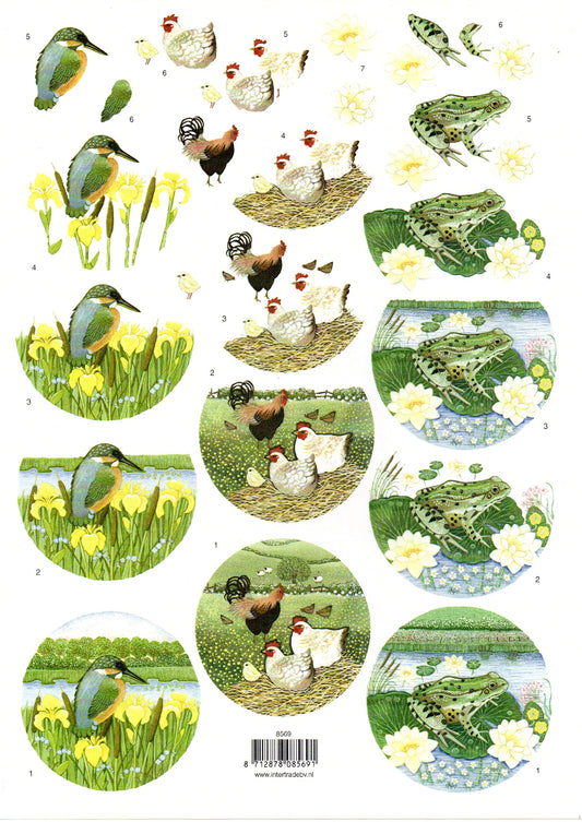 Knipvel Dieren / 3D Sheet / Kingfisher/Chickens/Frog