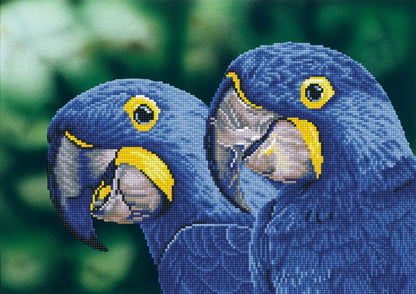 Diamond Dotz Blue Hyacinth Macaws