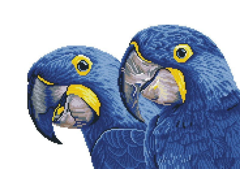 Diamond Dotz Blue Hyacinth Macaws