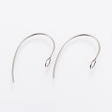 Stainless Earring Hook / Eclipse - Silver