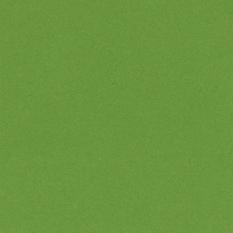 Bazzill 12 x 12 card - Classic Yellow/Green