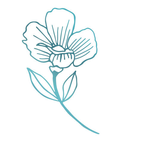 Primrose Flower