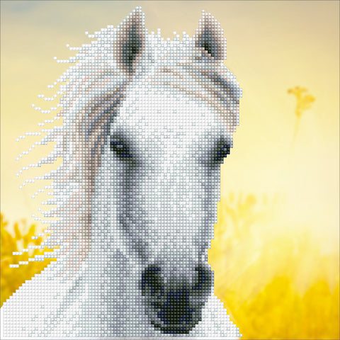 Diamond Dotz White Horse