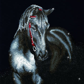 Diamond Dotz Midnight Stallion