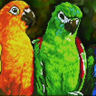 Diamond Dotz Rainbow Parrots