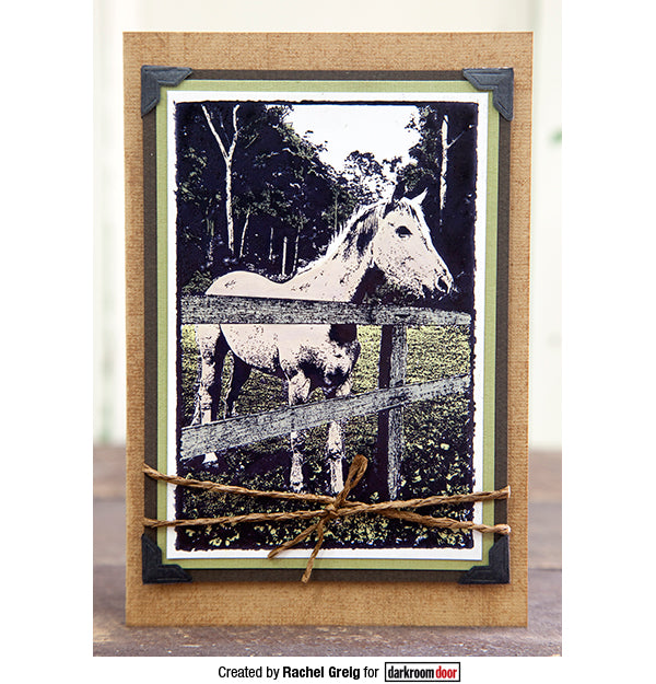 Photo Stamp - Horse