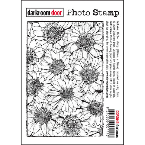 Photo Stamp - Gerberas