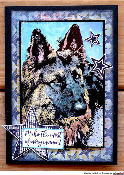 Photo Stamp - German Shepherd