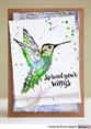 Stamp Set - Hummingbirds