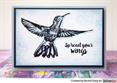Stamp Set - Hummingbirds