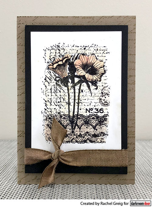 Stamp Set - Botanical Script