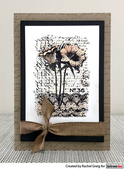 Stamp Set - Botanical Script