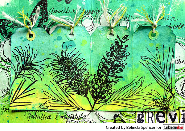 Stamp Set - Grevilleas