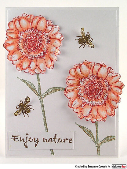 Stamp Set - Gerbera Daisy