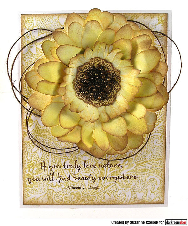 Stamp Set - Gerbera Daisy