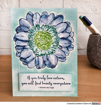 Stamp Set - Gerbera Daisy