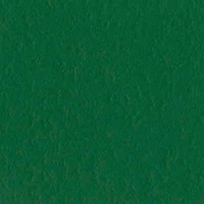 Bazzill 12 x 12 card Mono - Classic Green