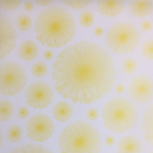 Vellum A4 / Yellow Daisy